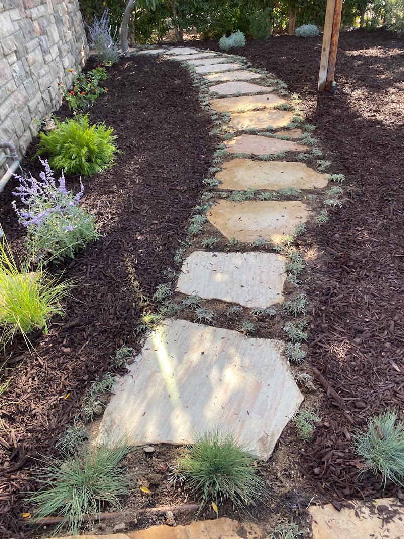 Carrillos Gardening Services in Los Angeles