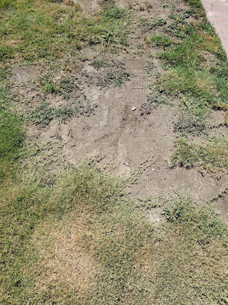 Carrillos Gardening Services in Los Angeles
