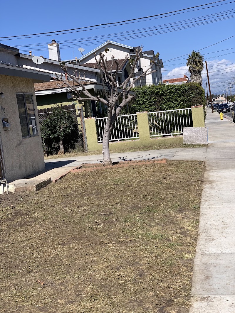 Carrillos Gardening Services in Los Angeles